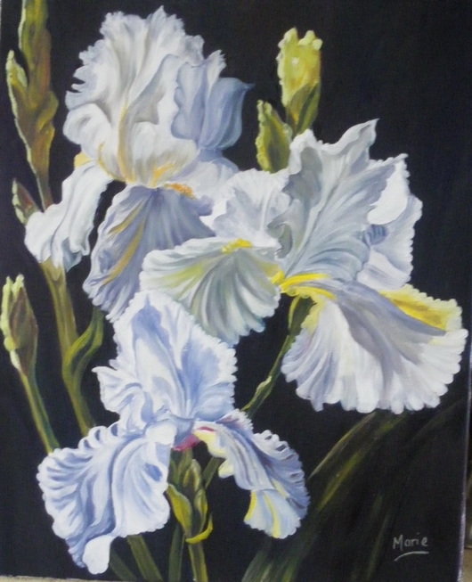 iris-blancs-B.jpg