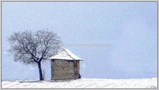 Automne hiver