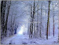 Automne-hiver